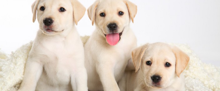 Кабинетът ни отвори врати